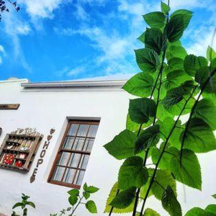 Worcester Gallery Cottage Екстериор снимка